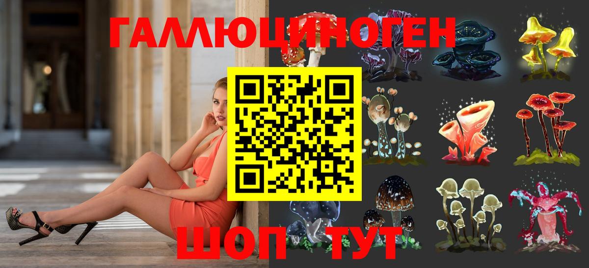 Луховицы  Галлюциногенные грибы GOLDEN TEACHER  Вход с VPN 